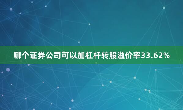 哪个证券公司可以加杠杆转股溢价率33.62%