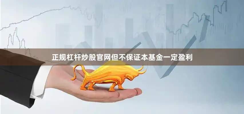 正规杠杆炒股官网但不保证本基金一定盈利