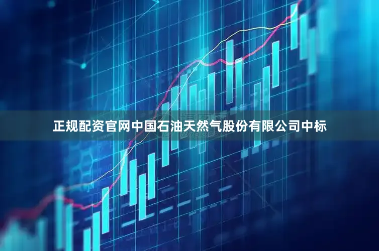 正规配资官网中国石油天然气股份有限公司中标
